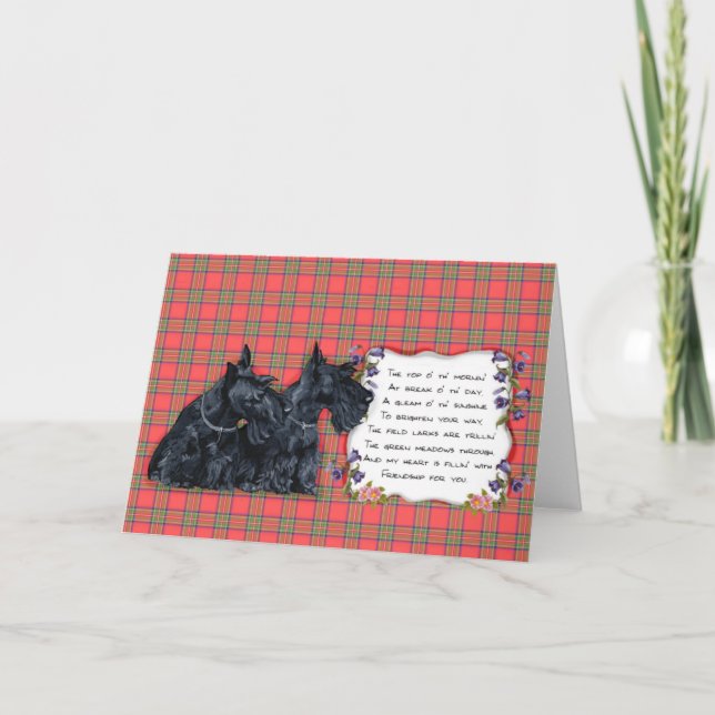 Tarjeta de felicitación de Scottish Terrier (Anverso)