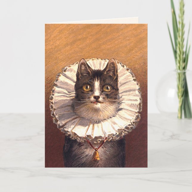 Tarjeta de felicitación de señor Feline (Anverso)