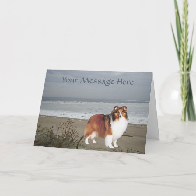 Tarjeta de felicitación de Sheltie (Anverso)