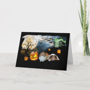 Tarjeta de felicitación de Sheltie Halloween