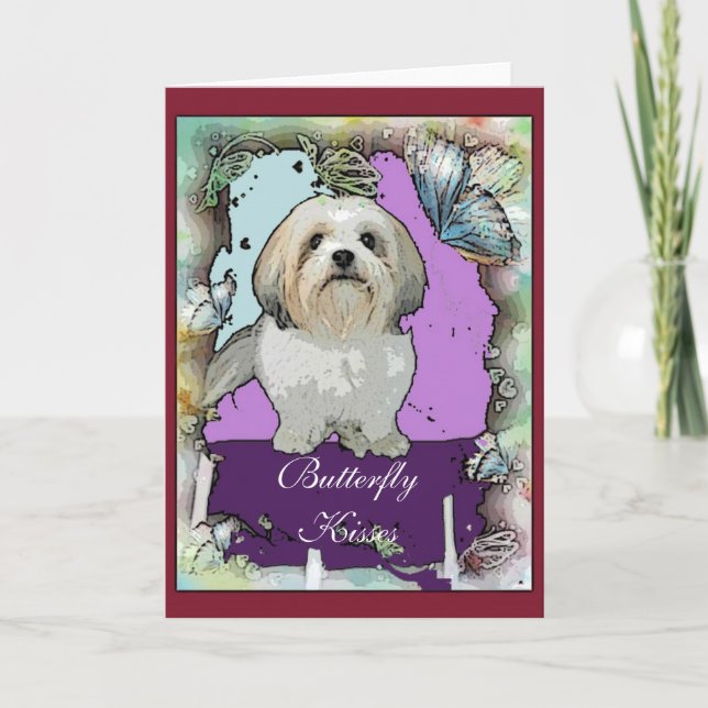 Tarjeta de felicitación de Shih Tzu (Anverso)