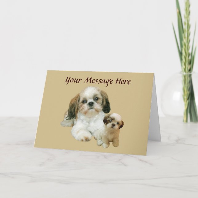 Tarjeta de felicitación de Shih Tzu Buddies (Anverso)