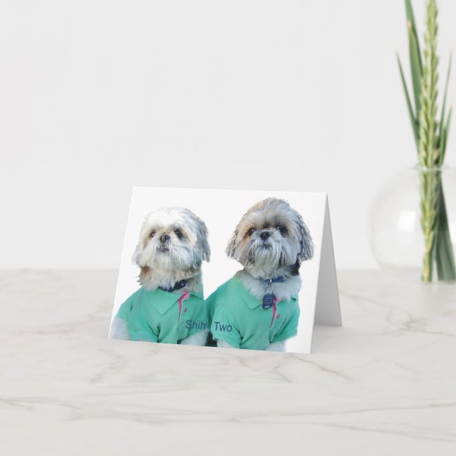 Tarjeta de felicitación de Shih Tzu - de Shih dos (Anverso)