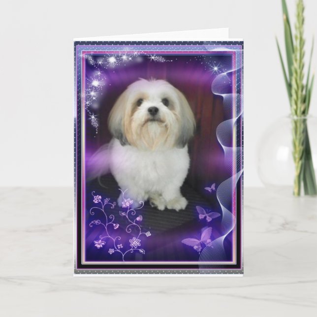 Tarjeta de felicitación de ShihTzu (Anverso)