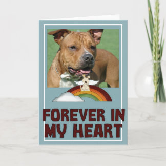 Tarjeta de felicitación de simpatía del Mascota fo