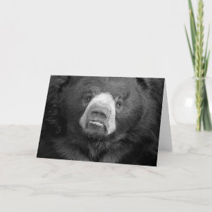 Tarjeta de felicitación de Sloth Bear #1