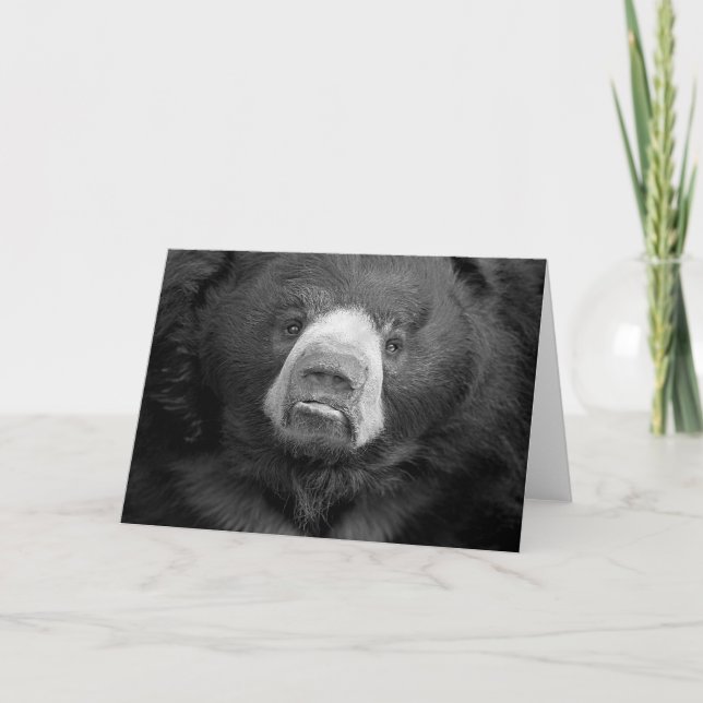 Tarjeta de felicitación de Sloth Bear #1 (Anverso)