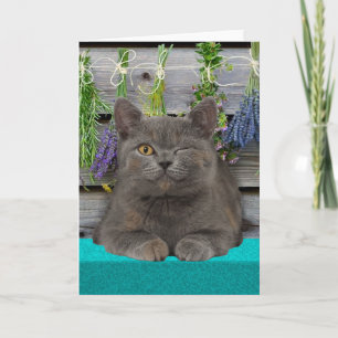 Tarjeta de felicitación de "Smokey"