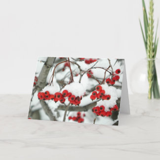 Tarjeta de felicitación de Snowberries