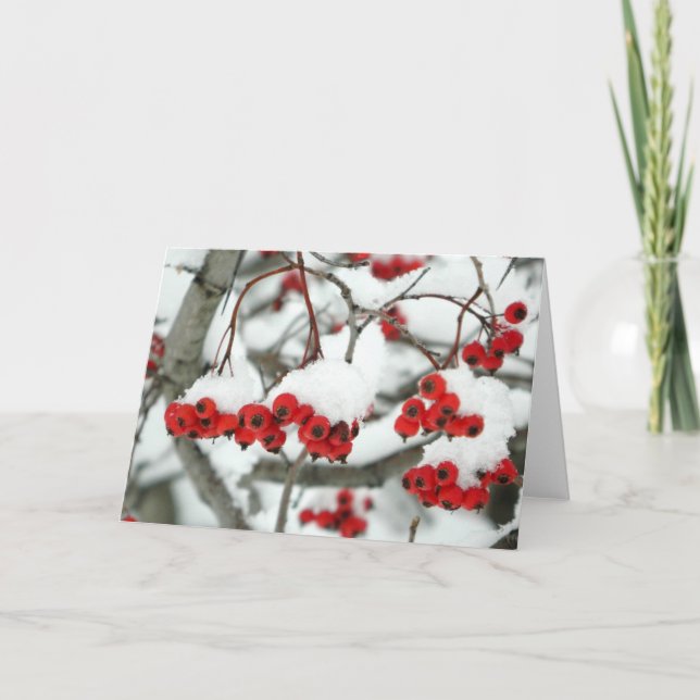 Tarjeta de felicitación de Snowberries (Anverso)