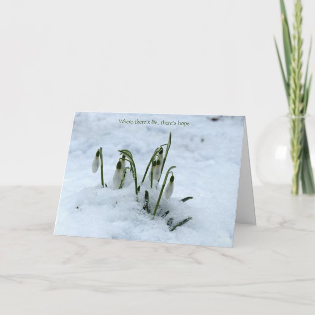 Tarjeta de felicitación de Snowdrop Imbolc (Anverso)