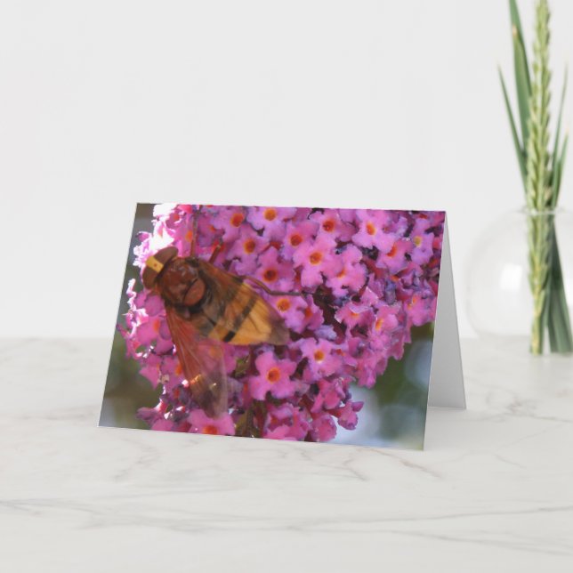 Tarjeta de felicitación de sobrevuelo (Anverso)