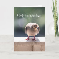 Tarjeta de Felicitación de Sorpresa Dove