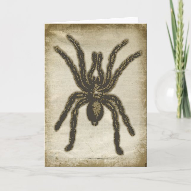 Tarjeta de felicitación de Spider Creepy (Anverso)