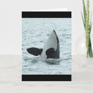 Tarjeta de felicitación de Spyhop de la orca