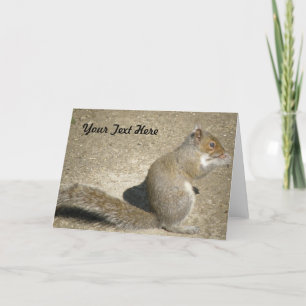 Tarjeta de felicitación de Squirrel Hungry Horatio