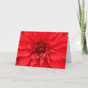 Tarjeta de felicitación de Sun del invierno