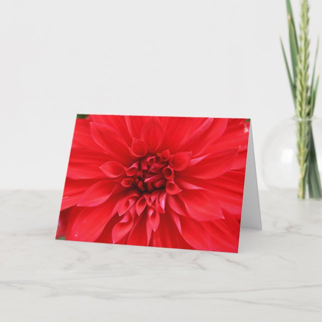 Tarjeta de felicitación de Sun del invierno (Anverso)