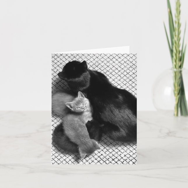 Tarjeta de felicitación de Sweetpea (Anverso)