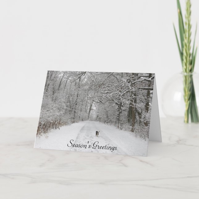 Tarjeta de felicitación de temporada de perros en  (Anverso)