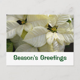 Tarjeta de Felicitación de Temporada de Poinsettia