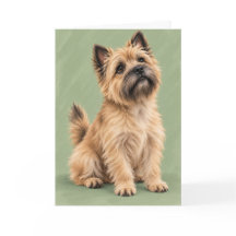 Tarjeta de Felicitación de Terrier Cairn
