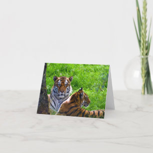 Tarjeta de felicitación de tigres de Amur
