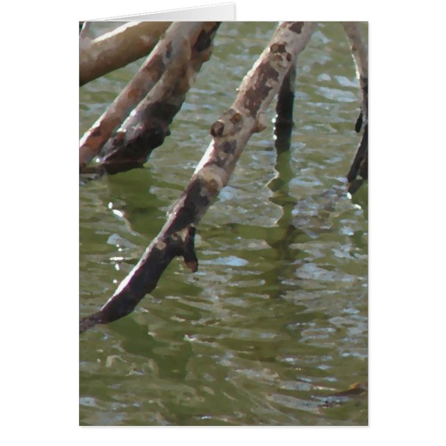 Tarjeta de felicitación de todas las ocasiones de  (Frente)