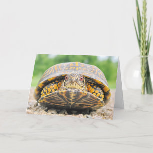 Tarjeta de felicitación de tortuga de caja