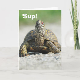Tarjeta de felicitación de tortuga de caja humorís