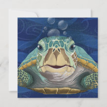 Tarjeta de Felicitación de Tortuga Hola