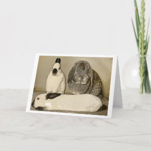 Tarjeta de felicitación de tres conejitos