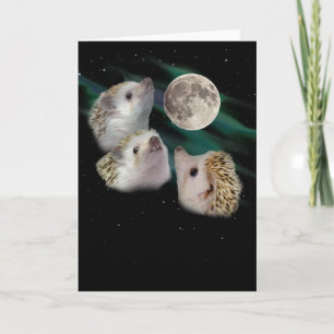 Tarjeta de felicitación de tres Hedgehog Moon