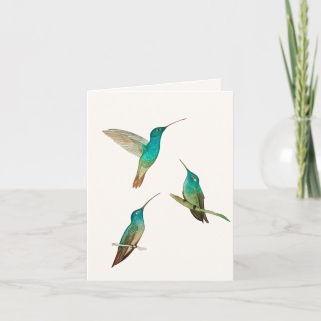 Tarjeta de felicitación de tres Hummingbirds (Anverso)
