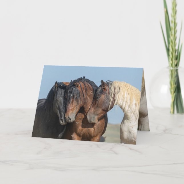 Tarjeta de felicitación de tres sementales salvaje (Anverso)