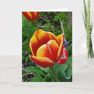 Tarjeta de felicitación de tulipán