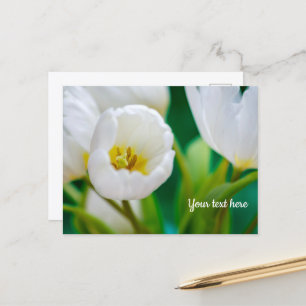 Tarjeta de felicitación de tulipán blanco
