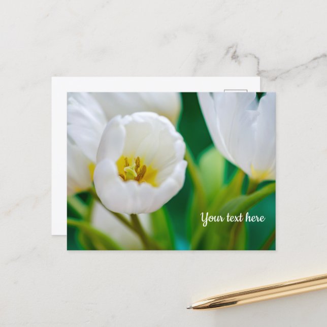 Tarjeta de felicitación de tulipán blanco (Anverso/Reverso In Situ)