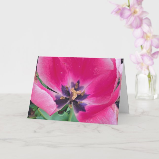 Tarjeta de felicitación de Tulipán Rosa (Orquídea)