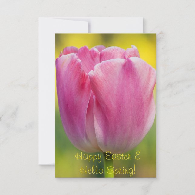 Tarjeta de felicitación de tulipán rosa de primave (Anverso)