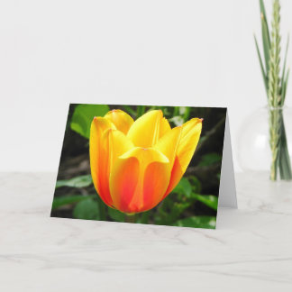 Tarjeta de felicitación de tulipanes amarillos