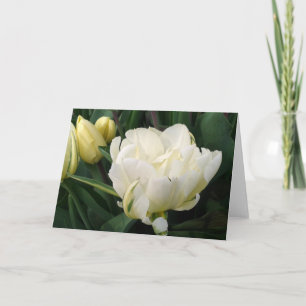 Tarjeta de felicitación de tulipanes blancos