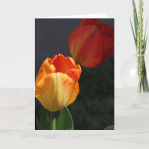 Tarjeta de felicitación de tulipanes de primavera