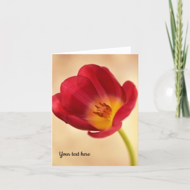 Tarjeta de felicitación de tulipanes rosa única (Anverso)