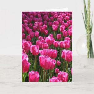 Tarjeta de felicitación de tulipanes rosados
