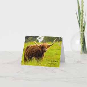 Tarjeta de felicitación de vaca de las Highlands