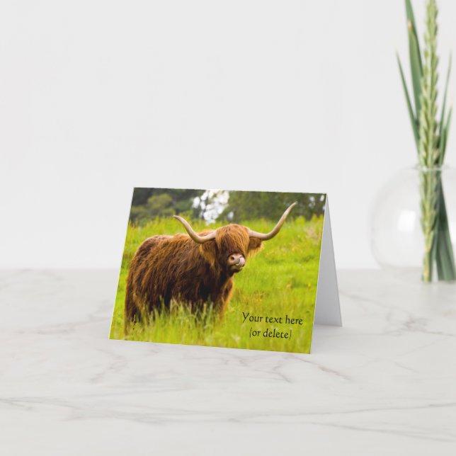 Tarjeta de felicitación de vaca de las Highlands (Anverso)