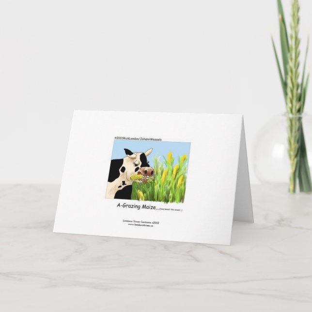 Tarjeta de felicitación de vaca divertida (Anverso)