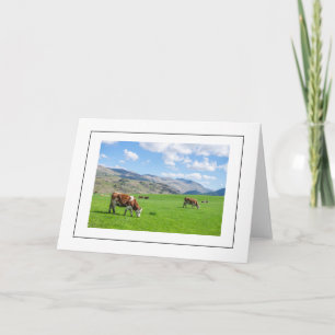 Tarjeta de felicitación de vacas en el distrito de