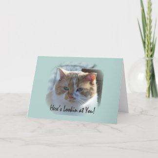 Tarjeta de felicitación de Vignette de Cat Cute